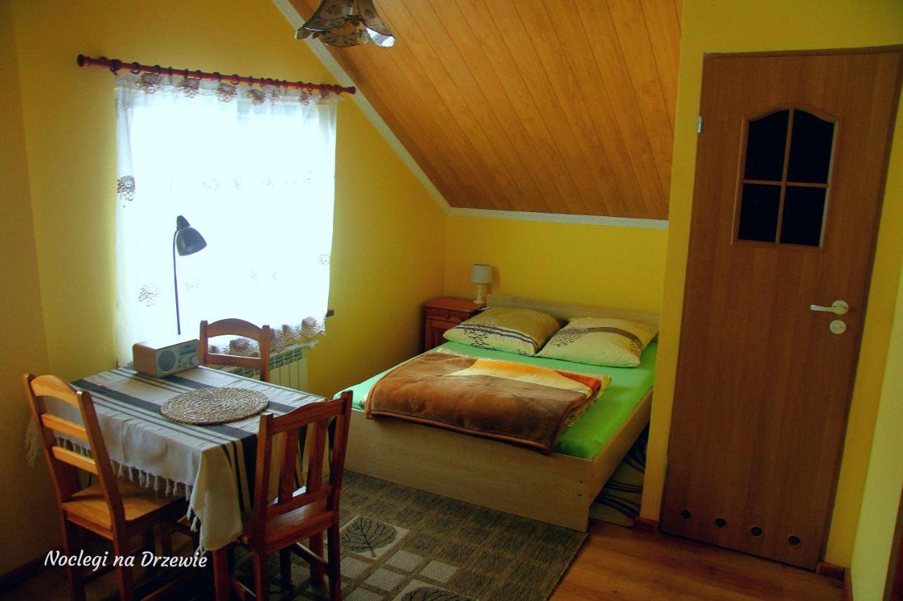 Noclegi Na Drzewie Cisna Exterior foto